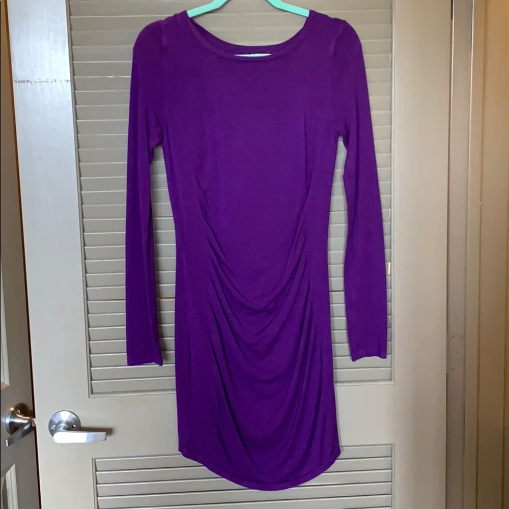 Express Purple Dress